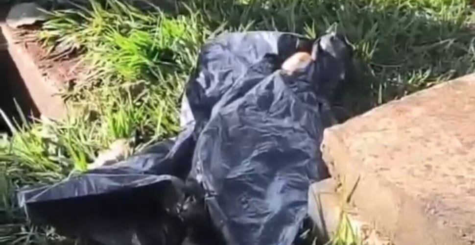 Bebê é encontrado morto em caixa de gordura de condomínio em Aparecida
