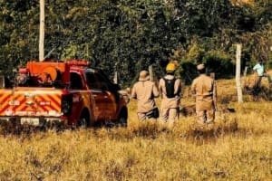 Bombeiros fazem buscas por criança desaparecida em Goiás