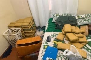 CPE e COD apreendem 250 kg de skunk em Aparecida