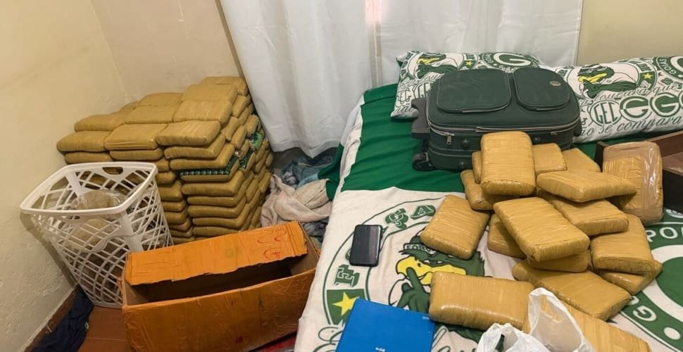 CPE e COD apreendem 250 kg de skunk em Aparecida