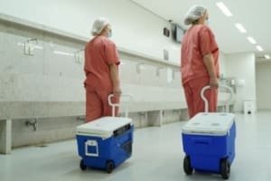 Doações de órgãos em Goiás beneficiam 64 pacientes em maio