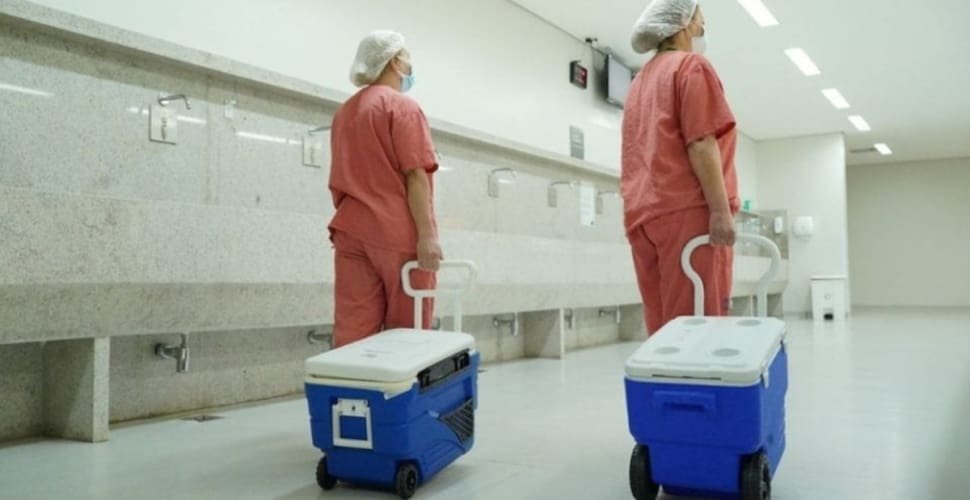 Doações de órgãos em Goiás beneficiam 64 pacientes em maio