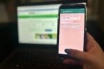 Goiás oferece renovação da CNH e emissão de identidade por WhatsApp