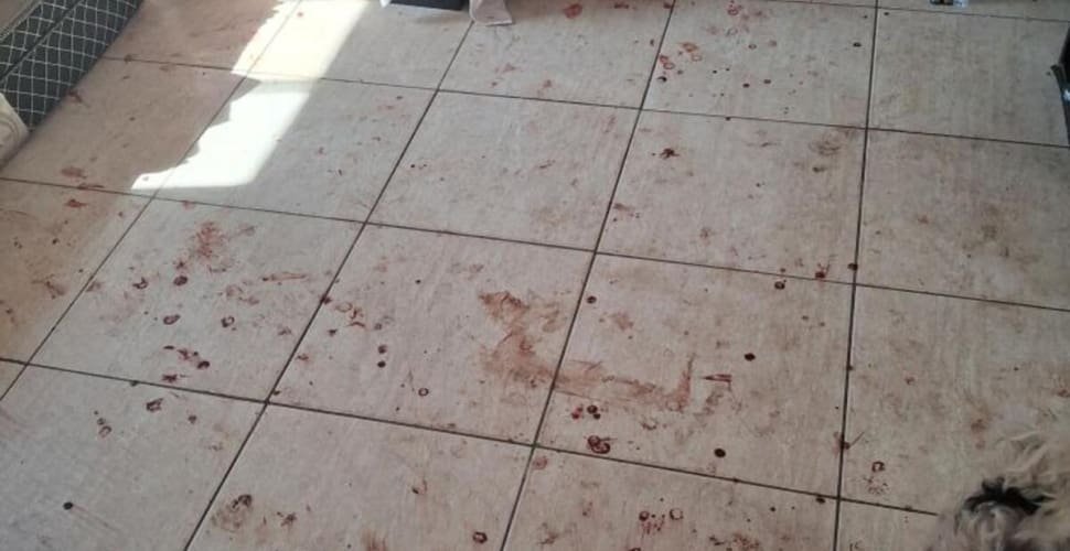 Homem é preso suspeito de agredir a companheira em Aparecida