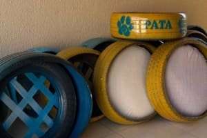 Aparecida amplia ações do PATA com camas sustentáveis para cães