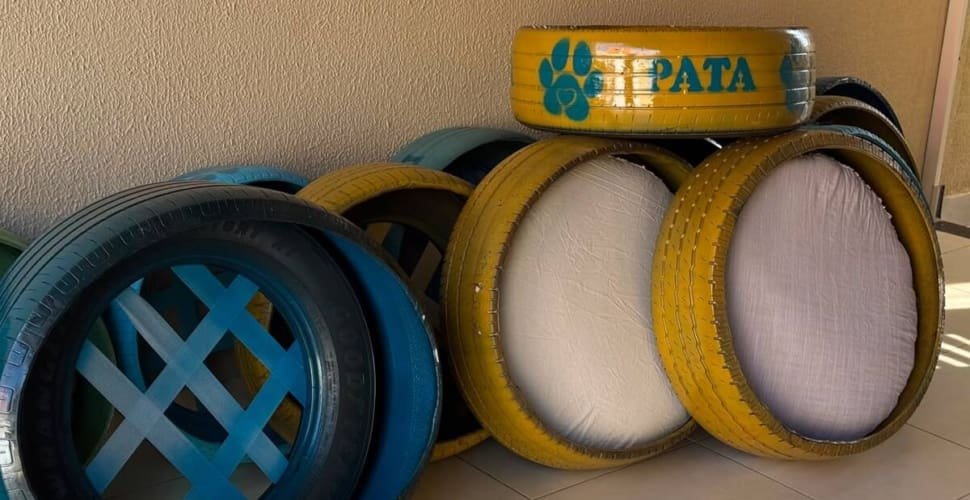Aparecida amplia ações do PATA com camas sustentáveis para cães