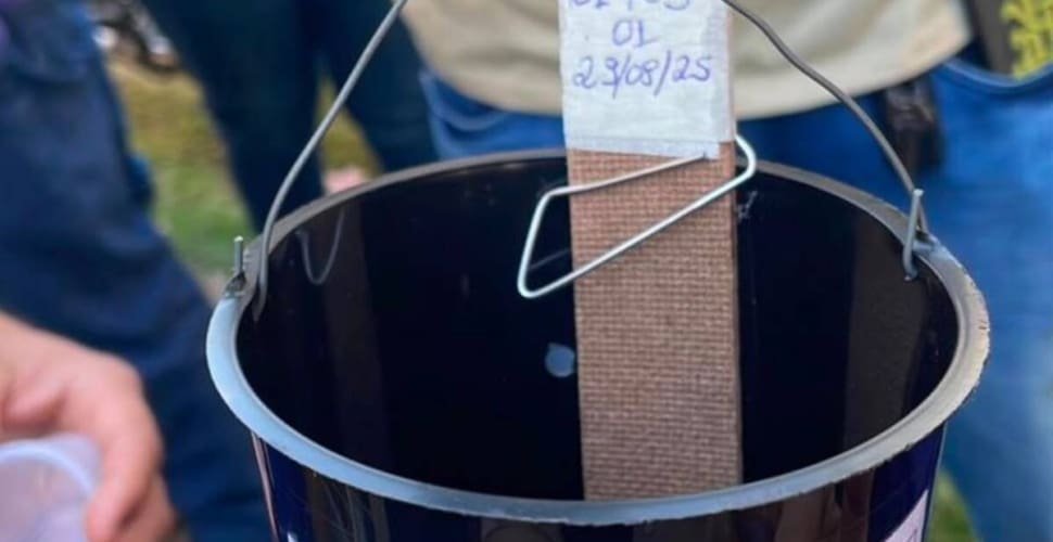 Aparecida inicia monitoramento da dengue com 248 novas armadilhas