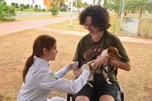 Aparecida realiza vacinação antirrábica neste sábado (19) em 61 postos