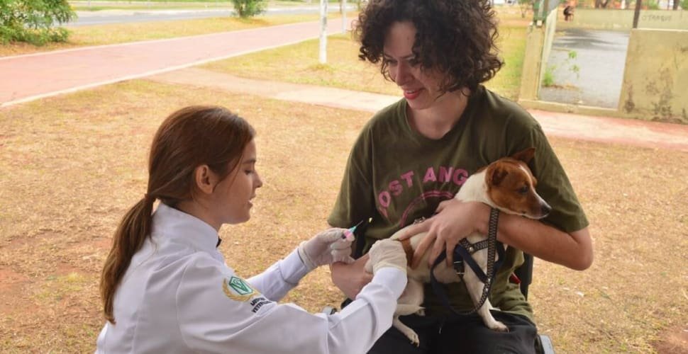 Aparecida realiza vacinação antirrábica neste sábado (19) em 61 postos
