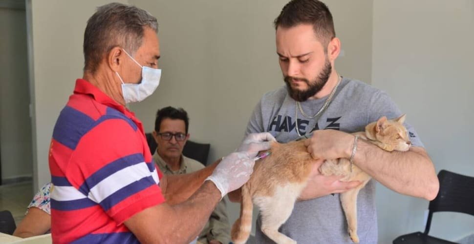 Prefeitura de Aparecida realiza Dia D contra a raiva no dia 19, em 61 postos