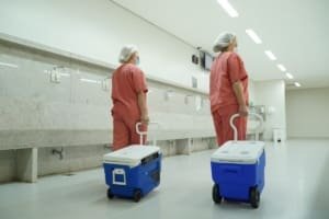 Saúde promove campanha para ampliar doação de órgãos em Goiás
