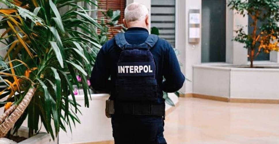 Segundo a Interpol, não há crianças brasileiras entre as 163 localizadas, informa PF
