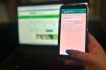 Goianos podem renovar CNH e pedir 2ª via da identidade pelo WhatsApp