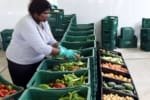 OVG orienta famílias sobre cadastro para receber alimentos semanalmente