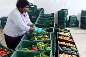 OVG orienta famílias sobre cadastro para receber alimentos semanalmente