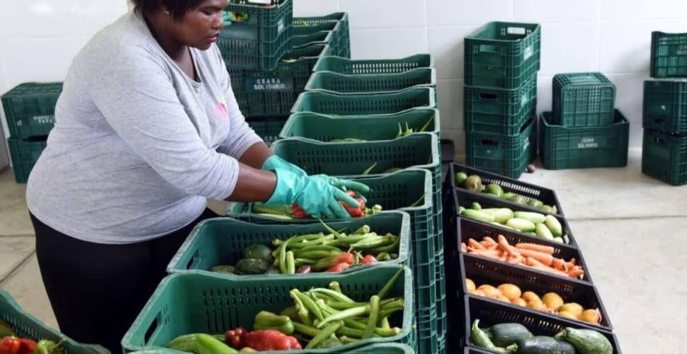OVG orienta famílias sobre cadastro para receber alimentos semanalmente