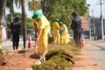Prefeitura amplia paisagismo de 20 avenidas de Aparecida com reeducandos