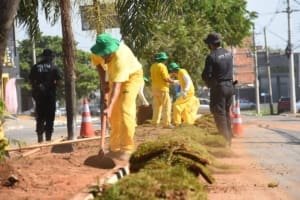 Prefeitura amplia paisagismo de 20 avenidas de Aparecida com reeducandos