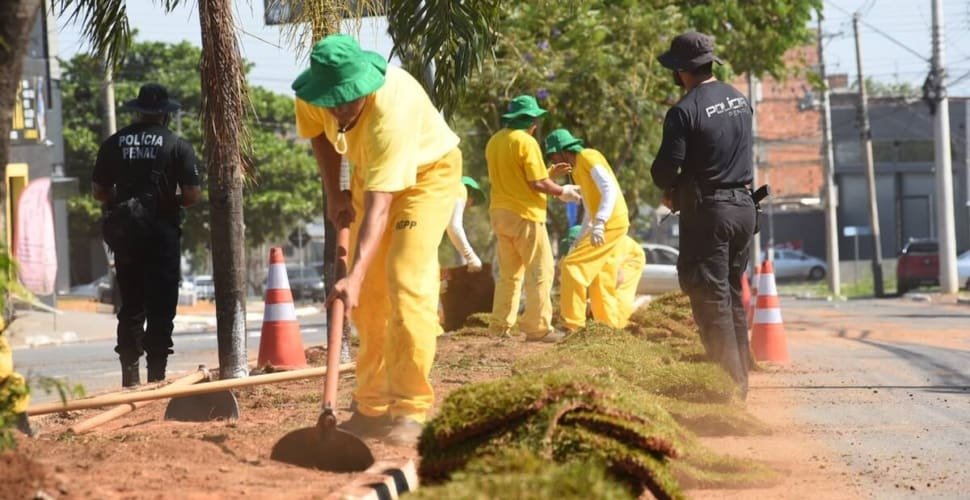 Prefeitura amplia paisagismo de 20 avenidas de Aparecida com reeducandos